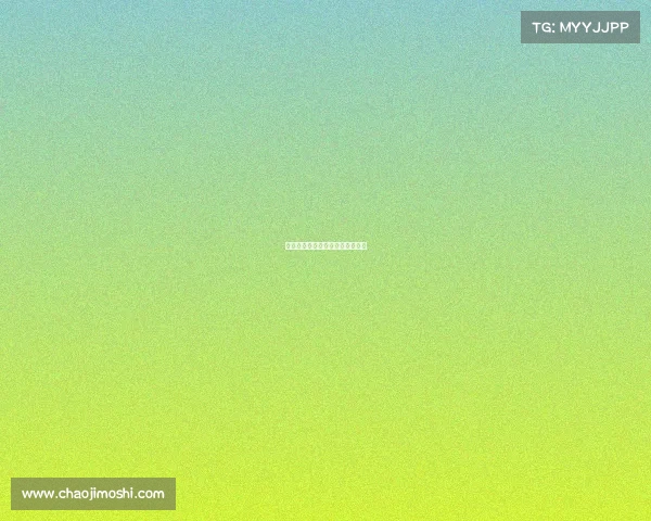 金港汽车园赛事金港赛车场赛道图